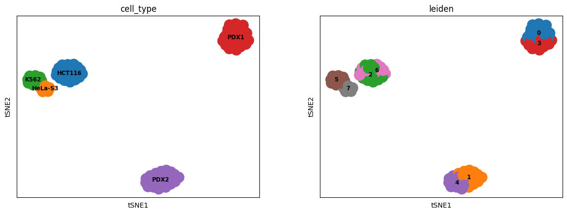 ../../_images/Tutorial_RNA_ATAC_paired_prediction_RNA_ATAC_paired_scButterfly-B_33_0.png