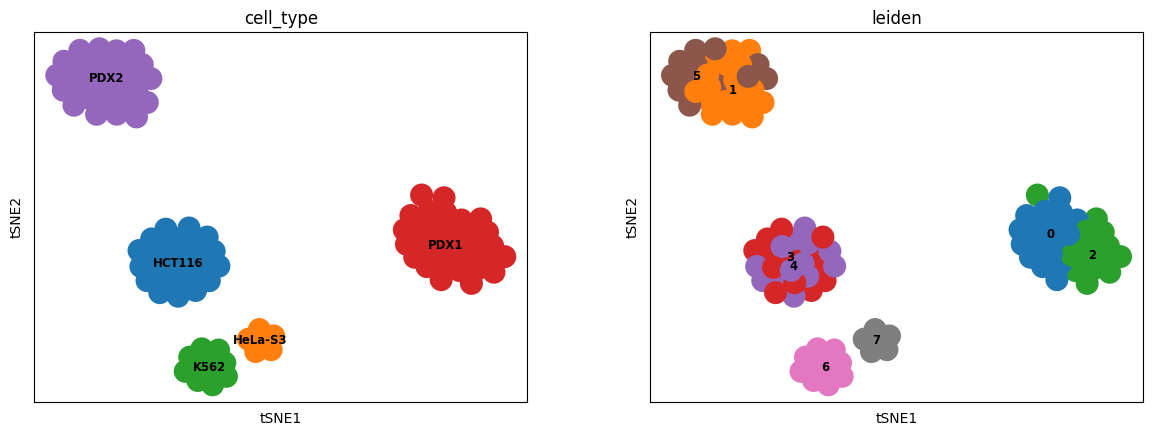 ../../_images/Tutorial_RNA_ATAC_paired_prediction_RNA_ATAC_paired_scButterfly-C_23_0.png