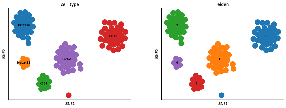 ../../_images/Tutorial_RNA_ATAC_paired_prediction_RNA_ATAC_paired_scButterfly-T_26_0.png