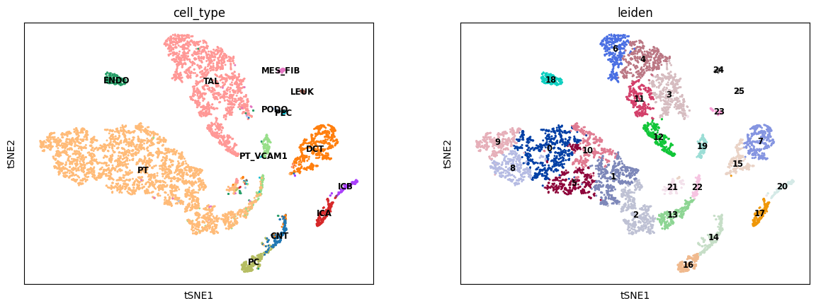 ../../_images/Tutorial_RNA_ATAC_unpaired_prediction_RNA_ATAC_unpaired_scButterfly-T_31_0.png