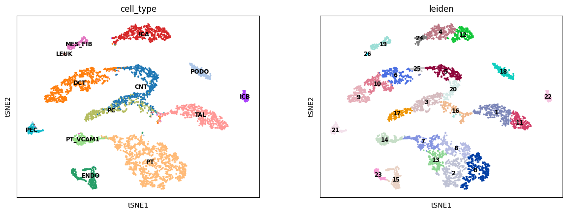 ../../_images/Tutorial_RNA_ATAC_unpaired_prediction_RNA_ATAC_unpaired_scButterfly-T_33_0.png